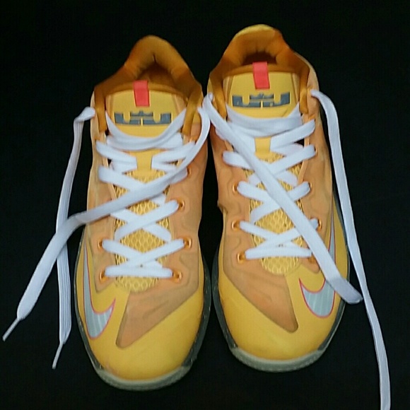 Nike Other - LEBRON NIKE